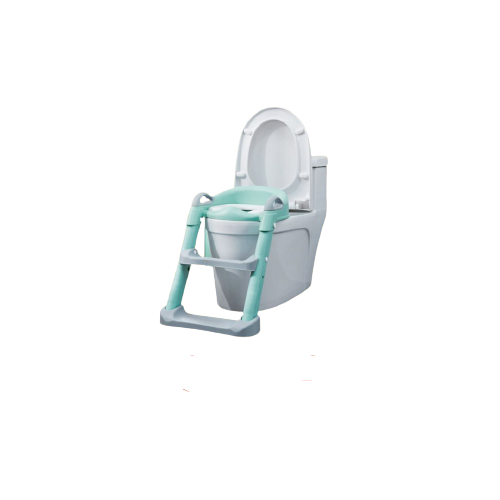 WT Potty Training Seat With Ladder